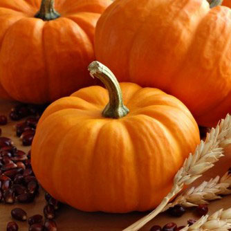 pumpkin